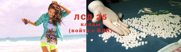 сатива Вязьма