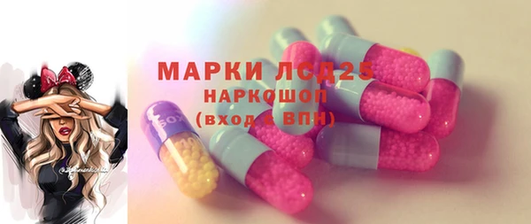 сатива Вязьма