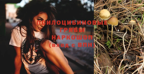 сатива Вязьма
