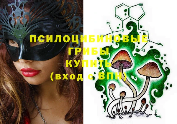 сатива Вязьма