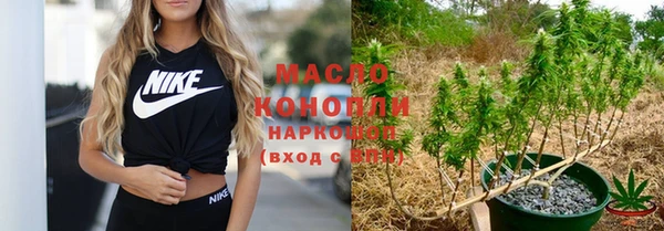сатива Вязьма