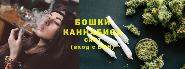 сатива Вязьма