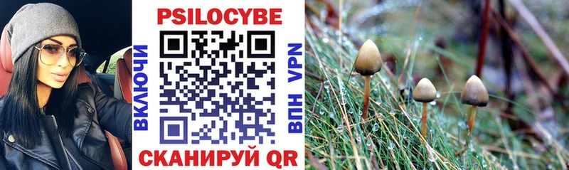Галлюциногенные грибы Magic Shrooms  Купить  Спасск 