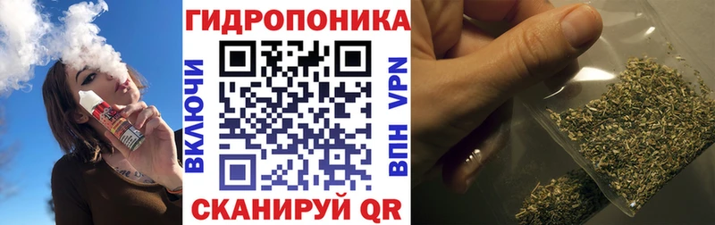 Купить закладки  Спасск  Шишки марихуана Ganja 